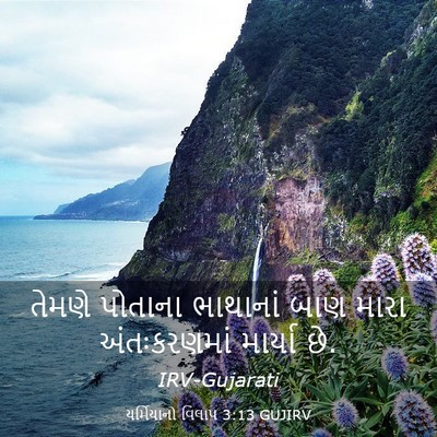 Picture 03 - યર્મિયાનો વિલાપ 3:13 GUJIRV - તેમણે પોતાના - Bible Verse Picture