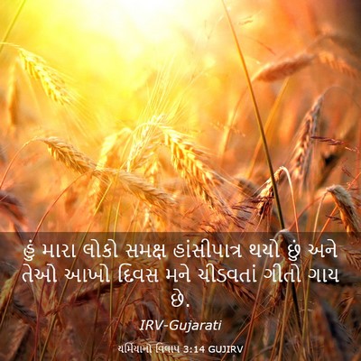 Picture 03 - યર્મિયાનો વિલાપ 3:14 GUJIRV - હું મારા લોકો - Bible Verse Picture