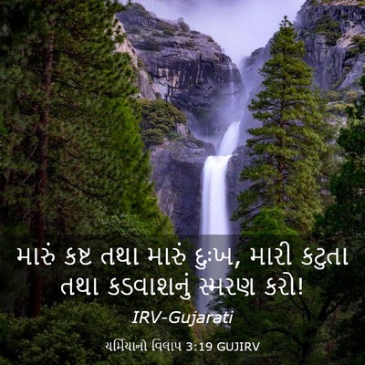Picture 03 - યર્મિયાનો વિલાપ 3:19 GUJIRV - મારું કષ્ટ તથા - Bible Verse Picture