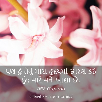 Picture 03 - યર્મિયાનો વિલાપ 3:21 GUJIRV - પણ હું તેનું મારા - Bible Verse Picture
