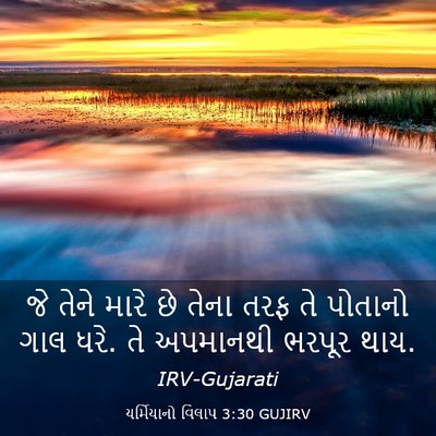 Picture 03 - યર્મિયાનો વિલાપ 3:30 GUJIRV - જે તેને મારે છે - Bible Verse Picture