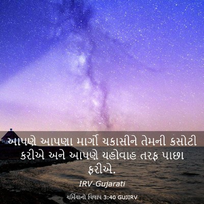Picture 03 - યર્મિયાનો વિલાપ 3:40 GUJIRV - આપણે આપણા માર્ગો - Bible Verse Picture