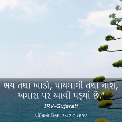 Picture 03 - યર્મિયાનો વિલાપ 3:47 GUJIRV - ભય તથા ખાડો, - Bible Verse Picture