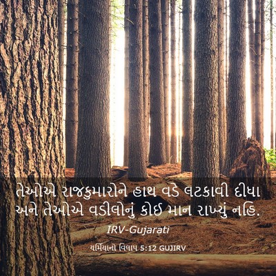 Picture 03 - યર્મિયાનો વિલાપ 5:12 GUJIRV - તેઓએ રાજકુમારોને - Bible Verse Picture