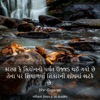 Picture 03 - યર્મિયાનો વિલાપ 5:18 GUJIRV - કારણ કે સિયોનનો - Bible Verse Picture