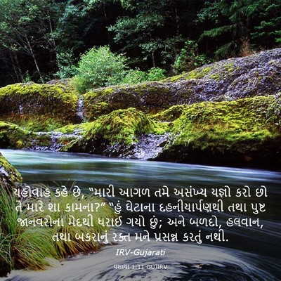 Picture 03 - યશાયા 1:11 GUJIRV - યહોવાહ કહે છે, - Bible Verse Picture