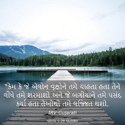 Picture 03 - યશાયા 1:29 GUJIRV - “કેમ કે જે એલોન - Bible Verse Picture
