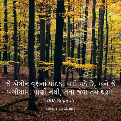 Picture 03 - યશાયા 1:30 GUJIRV - જે એલોન વૃક્ષનાં - Bible Verse Picture