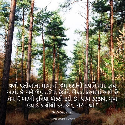 Picture 03 - યશાયા 10:14 GUJIRV - વળી પક્ષીઓના - Bible Verse Picture
