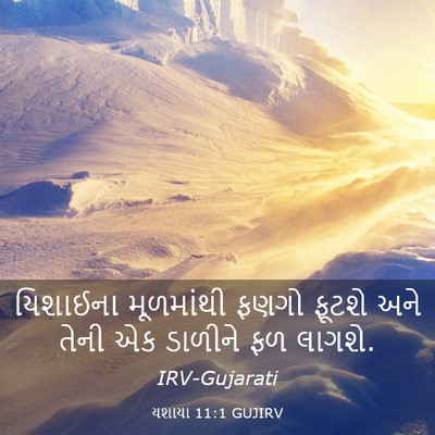 Picture 03 - યશાયા 11:1 GUJIRV - યિશાઈના મૂળમાંથી - Bible Verse Picture
