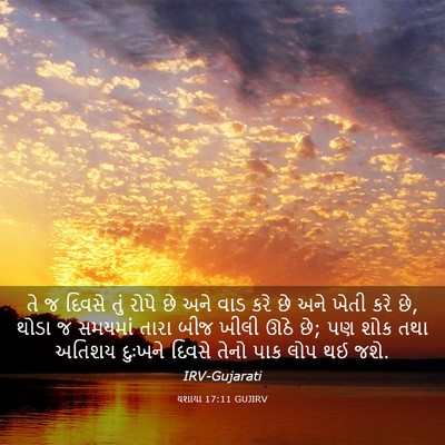 Picture 03 - યશાયા 17:11 GUJIRV - તે જ દિવસે તું રોપે - Bible Verse Picture