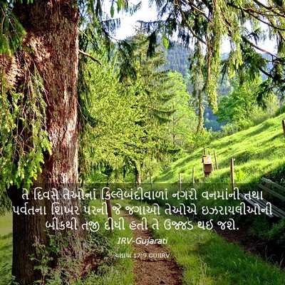 Picture 03 - યશાયા 17:9 GUJIRV - તે દિવસે તેઓનાં - Bible Verse Picture