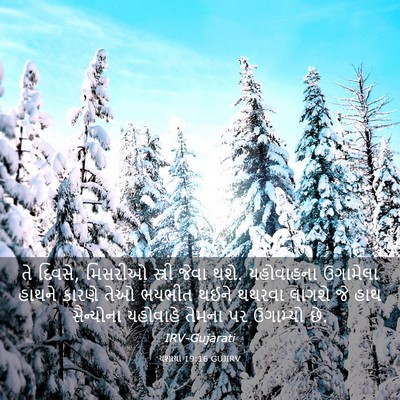 Picture 03 - યશાયા 19:16 GUJIRV - તે દિવસે, મિસરીઓ - Bible Verse Picture