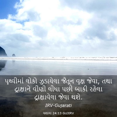 Picture 03 - યશાયા 24:13 GUJIRV - પૃથ્વીમાં લોકો - Bible Verse Picture