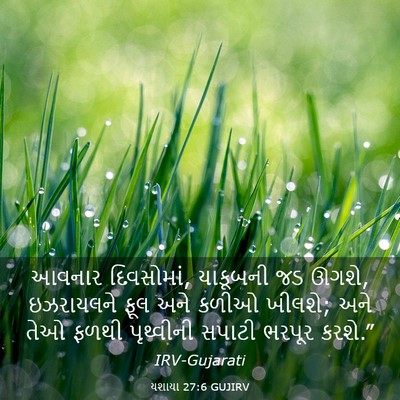 Picture 03 - યશાયા 27:6 GUJIRV - આવનાર દિવસોમાં, - Bible Verse Picture