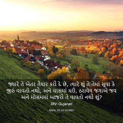 Picture 03 - યશાયા 28:25 GUJIRV - જ્યારે તે ખેતર - Bible Verse Picture