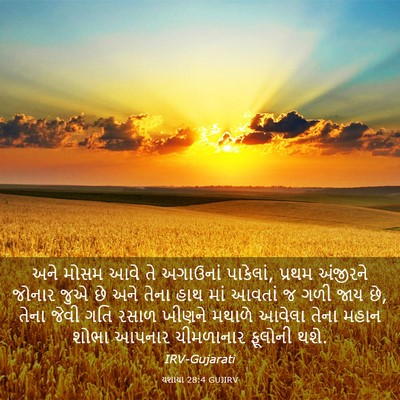 Picture 03 - યશાયા 28:4 GUJIRV - અને મોસમ આવે તે - Bible Verse Picture