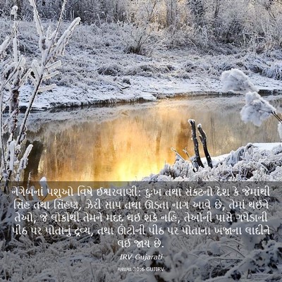 Picture 03 - યશાયા 30:6 GUJIRV - નેગેબનાં પશુઓ - Bible Verse Picture