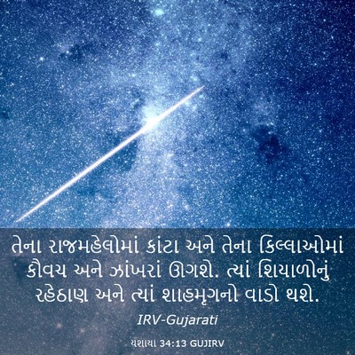 Picture 03 - યશાયા 34:13 GUJIRV - તેના રાજમહેલોમાં - Bible Verse Picture