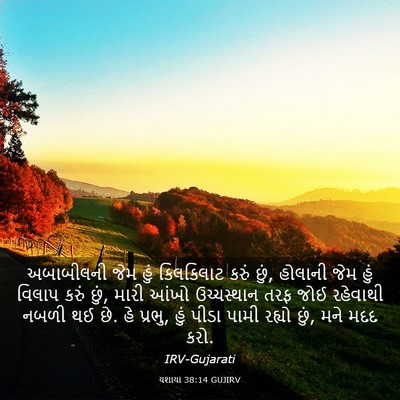 Picture 03 - યશાયા 38:14 GUJIRV - અબાબીલની જેમ હું - Bible Verse Picture