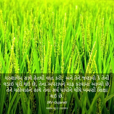 Picture 03 - યશાયા 40:2 GUJIRV - યરુશાલેમ સાથે - Bible Verse Picture