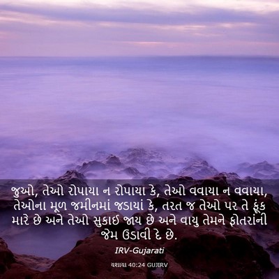 Picture 03 - યશાયા 40:24 GUJIRV - જુઓ, તેઓ રોપાયા ન - Bible Verse Picture