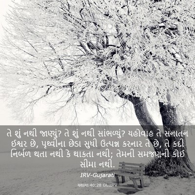 Picture 03 - યશાયા 40:28 GUJIRV - તે શું નથી જાણ્યું? - Bible Verse Picture