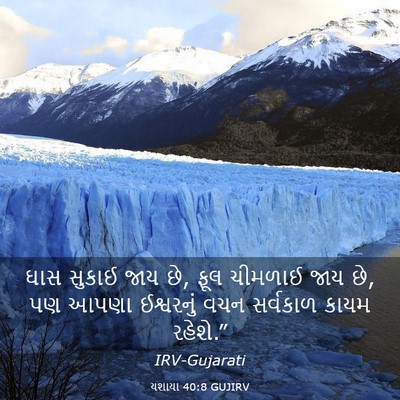 Picture 03 - યશાયા 40:8 GUJIRV - ઘાસ સુકાઈ જાય છે, - Bible Verse Picture