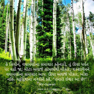 Picture 03 - યશાયા 40:9 GUJIRV - હે સિયોન, વધામણીના - Bible Verse Picture