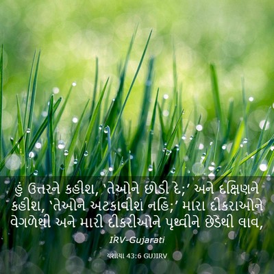 Picture 03 - યશાયા 43:6 GUJIRV - હું ઉત્તરને કહીશ, - Bible Verse Picture