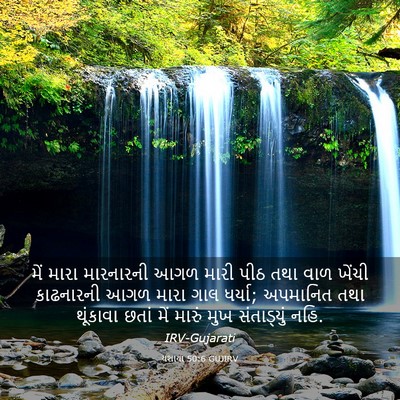 Picture 03 - યશાયા 50:6 GUJIRV - મેં મારા મારનારની - Bible Verse Picture