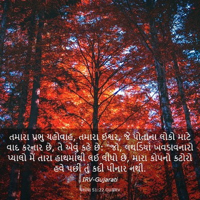 Picture 03 - યશાયા 51:22 GUJIRV - તમારા પ્રભુ - Bible Verse Picture