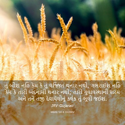 Picture 03 - યશાયા 54:4 GUJIRV - તું બીશ નહિ કેમ કે - Bible Verse Picture