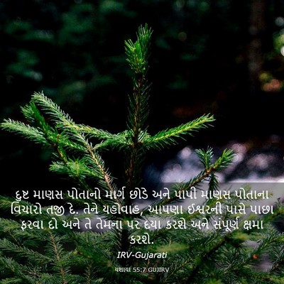 Picture 03 - યશાયા 55:7 GUJIRV - દુષ્ટ માણસ પોતાનો - Bible Verse Picture