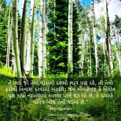 Picture 03 - યશાયા 6:13 GUJIRV - તે છતાં જો તેમાં - Bible Verse Picture