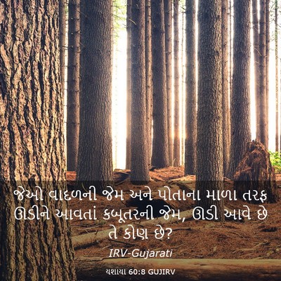 Picture 03 - યશાયા 60:8 GUJIRV - જેઓ વાદળની જેમ અને - Bible Verse Picture