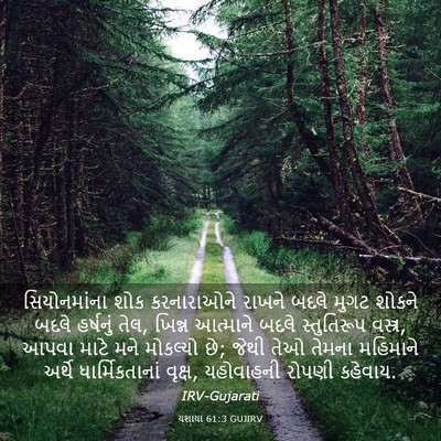 Picture 03 - યશાયા 61:3 GUJIRV - સિયોનમાંના શોક - Bible Verse Picture