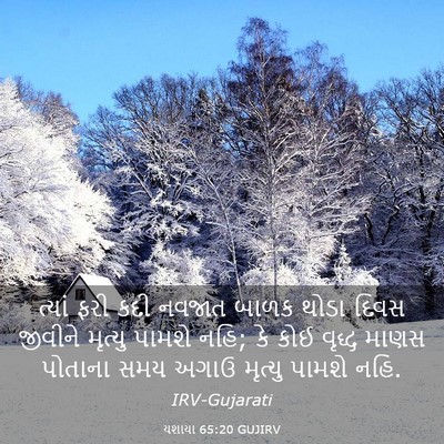 Picture 03 - યશાયા 65:20 GUJIRV - ત્યાં ફરી કદી - Bible Verse Picture