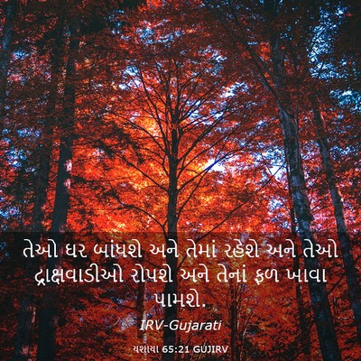 Picture 03 - યશાયા 65:21 GUJIRV - તેઓ ઘર બાંધશે અને - Bible Verse Picture