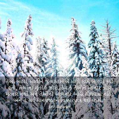 Picture 03 - યશાયા 66:24 GUJIRV - તેઓ બહાર આવીને જે - Bible Verse Picture