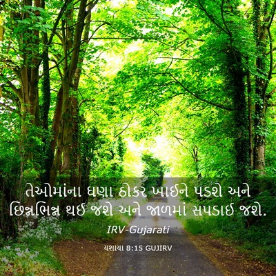 Picture 03 - યશાયા 8:15 GUJIRV - તેઓમાંના ઘણા ઠોકર - Bible Verse Picture