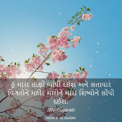 Picture 03 - યશાયા 8:16 GUJIRV - હું મારા સાક્ષી - Bible Verse Picture
