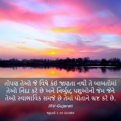 Picture 03 - યહૂદાનો 1:10 GUJIRV - તોપણ તેઓ જે વિષે - Bible Verse Picture