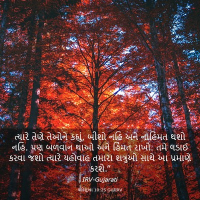 Picture 03 - યહોશુઆ 10:25 GUJIRV - ત્યારે તેણે તેઓને - Bible Verse Picture