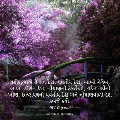 Picture 03 - યહોશુઆ 11:16 GUJIRV - યહોશુઆએ તે સર્વ - Bible Verse Picture