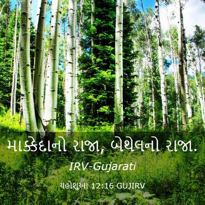 Picture 03 - યહોશુઆ 12:16 GUJIRV - માક્કેદાનો રાજા, - Bible Verse Picture