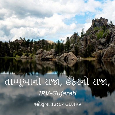 Picture 03 - યહોશુઆ 12:17 GUJIRV - તાપ્પૂઆનો રાજા, - Bible Verse Picture