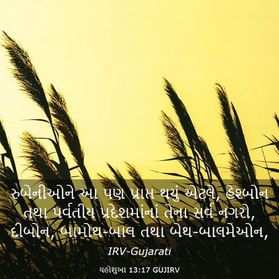 Picture 03 - યહોશુઆ 13:17 GUJIRV - રુબેનીઓને આ પણ - Bible Verse Picture