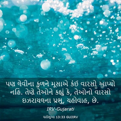 Picture 03 - યહોશુઆ 13:33 GUJIRV - પણ લેવીના કુળને - Bible Verse Picture