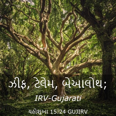 Picture 03 - યહોશુઆ 15:24 GUJIRV - ઝીફ, ટેલેમ, - Bible Verse Picture
